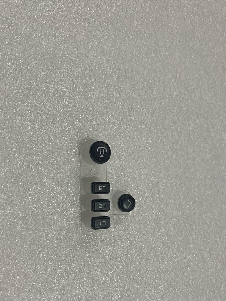 Left Side Buttons (L1/L2/L3) T100