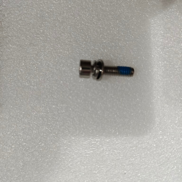 Screw (M60-NCW02300200-120060-5103-N)