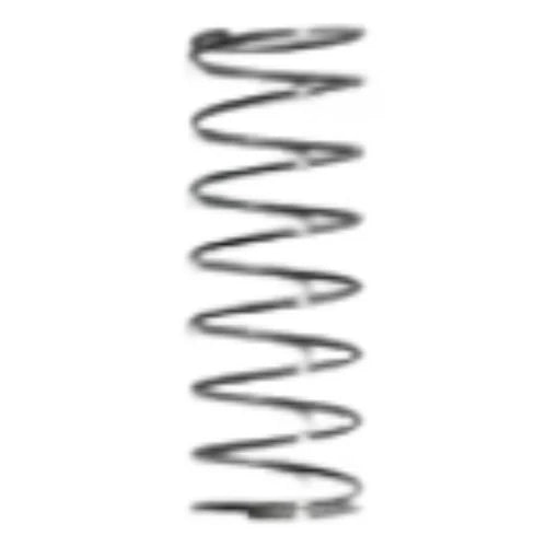 Anti-Leak Valve Spring