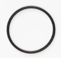 Sealing Ring (OD=31.4 mm) T100