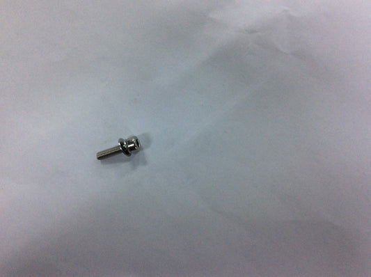 Screw (M30-HCW01200100-055030-4204-N)